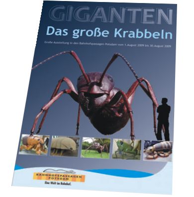 Flyer Prospekt Plakat Grafik Design Produktgestaltung Werbung Druck Corporate Design