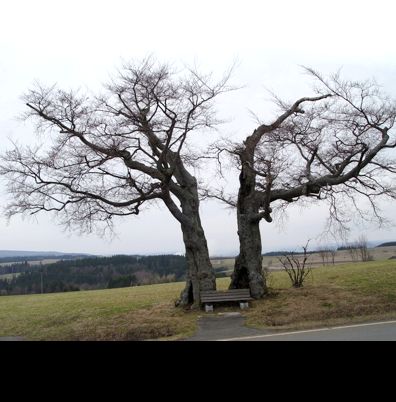 Landschaft Produktfotografie Studio Grafik Design Produktgestaltung Werbung Druck Corporate Design